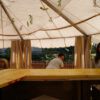 Fischessen_2-4__Juli_2011_008
