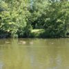 Fischessen_2-4__Juli_2011_009
