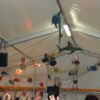 Fischessen_2-4__Juli_2011_075