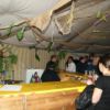 Fischessen_2-4__Juli_2011_136