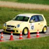 Slalom_2011_34