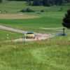 Slalom_2011_44