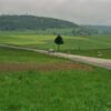 Slalom_71