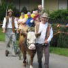 Umzug079
